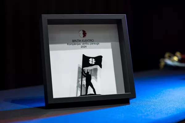 Baltik elektro