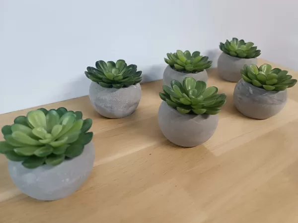 60mm x 65mm